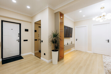 A Modern Entrance Hallway Featuring Contemporary Design Elements That Enhance Its Appeal