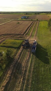Harvester working on the summer field getting ripe wheat (vertical)
