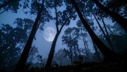 Majestic full moon shines through a misty forest at night, casting an ethereal glow on the towering trees.