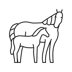 foal mare horse breeding line icon vector illustration