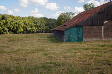 Obraz premium Old barn standing in green field near forest on cloudy day