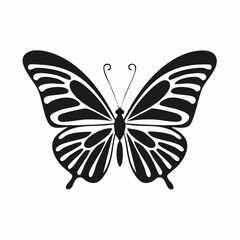 Black and white Butterfly Flying image vector isolated on white background.