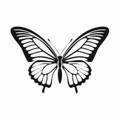 Black and white Butterfly Flying image vector isolated on white background.
