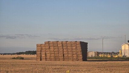 kostki siana na polu przygotowane do transportu