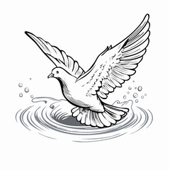 Dove Water Stock Illustrations  image vector on white background.