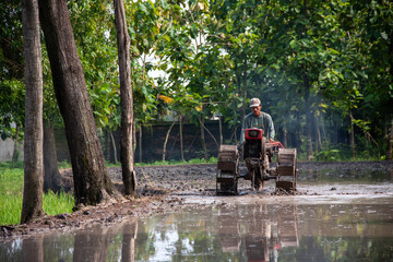 A farmer is using a hand tractor in a muddy rice field.