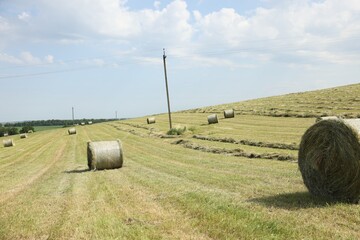 Hay bales on green grass in field