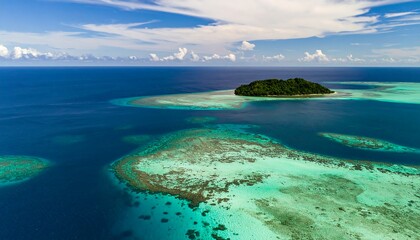 Fototapeta premium A breathtaking aerial view of a tropical island fringed by vibrant coral reefs, showcasing the turquoise waters and a lush green island in the distance.