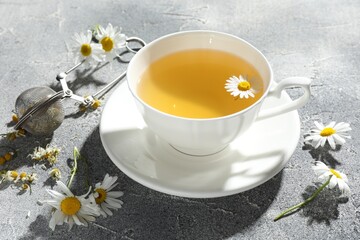 Tasty chamomile tea, infuser and flowers on light grey table, closeup