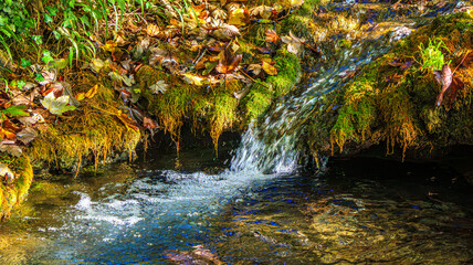 Small stream in Saint Affrique in the south of France.
River in the middle of greenery in spring...