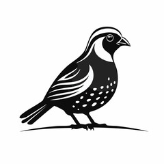 Quail Bird image vector. Black And White Illustration Quail Bird image Isolated On Background