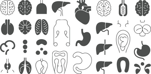 Vector art of collection of human organ icons and anatomical symbols