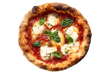 Delicious Margherita Pizza with fresh basil