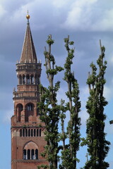 torrazzo fra gli alberi