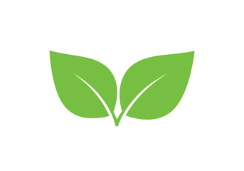 Two green leaves isolated on white background