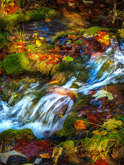 Small stream in Saint Affrique in the south of France.
River in the middle of greenery in spring...