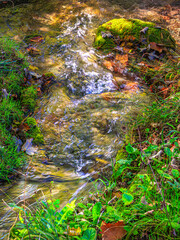 Small stream in Saint Affrique in the south of France.
River in the middle of greenery in spring...