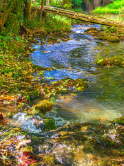 Small stream in Saint Affrique in the south of France.
River in the middle of greenery in spring...