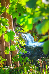 Small stream in Saint Affrique in the south of France.
River in the middle of greenery in spring...