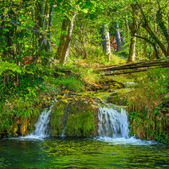 Small stream in Saint Affrique in the south of France.
River in the middle of greenery in spring with small waterfalls in Aveyron in Occitanie.
