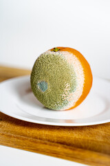 rotten orange fruit orange lies on a white plate on a wooden board, moldy orange fruit half bad