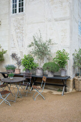 Cozy cafe garden with plants in Copenhagen city park in Denmark. Table with chairs under open sky surrounded with many big plants