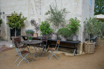 Cozy cafe garden with plants in Copenhagen city park in Denmark. Table with chairs under open sky surrounded with many big plants