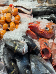 Fresh fish and prawns on the ice on market stall of the food market close up