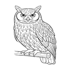 Detailed black and white line art of an owl perched on a branch.
