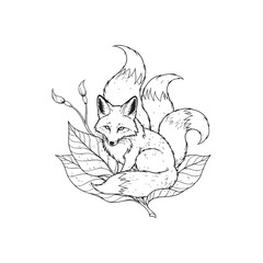 Mythical Japanese Kitsune fox with three tails line art.