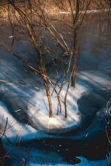 Bare tree branches are frozen in a sheet of ice on a tranquil lake, creating a beautiful, surreal...