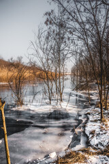 A tranquil winter scene of a frozen river in a sparse forest, where bare trees stand frozen in a...
