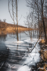 A tranquil winter scene of a frozen river in a sparse forest, where bare trees stand frozen in a...