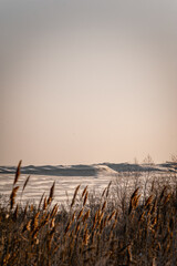 A peaceful autumn landscape with a frozen lake and tall reeds in the foreground, creating a serene...