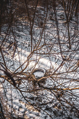 An empty bird's nest covered in ice and hoarfrost, resting on bare branches in a winter forest,...