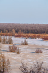 A wide-angle winter landscape of a snow-covered field with scattered bare trees and a calm, clear...