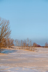 A wide-angle winter landscape of a snow-covered field with scattered bare trees and a calm, clear...
