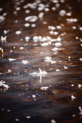 A macro shot of intricate frost patterns on a thin layer of ice, creating a detailed and beautiful...