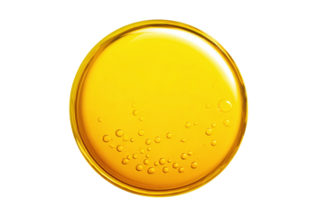 Golden liquid with bubbles in a circular petri dish, isolated on white transparent background