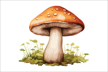 Watercolor Mushroom Clipart Bundle | Woodland Forest Fungi Vector Set