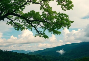 Obraz premium Emerald canopy, whimsical clouds drift over rolling hills, dreamy forest scene, atmosphere, fantasy