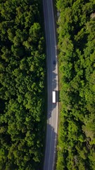 Winding road through lush forest (6)