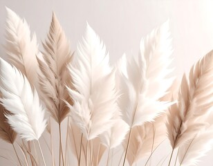 Soft, fluffy, neutral-toned dried pampas grass