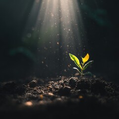 Sprout in soil emerging under sunlight beams dramatic low angle shot concept of growth hope and resilience in nature