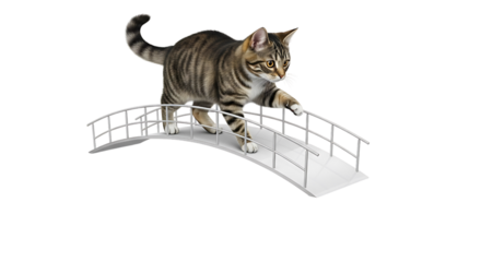Tabby cat walking on a small bridge isolated on transparent background