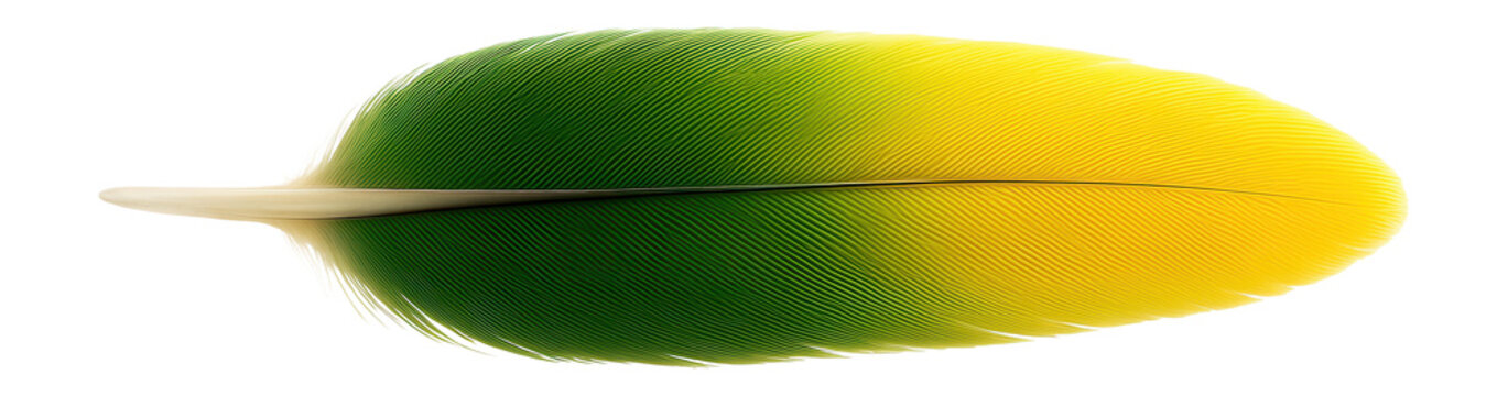 Carolina parakeet wing feather with bright green and yellow coloration