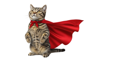 Cat wearing a red cape and bow tie isolated on transparent background