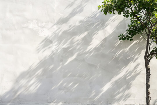 Clean exterior renovation with fresh paint application on façade.