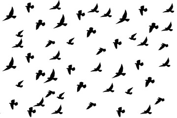 Set of silhouettes of birds, bird's flock set 