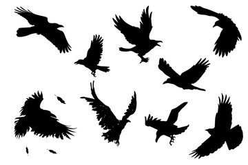 Set of silhouettes of birds, bird's flock set 